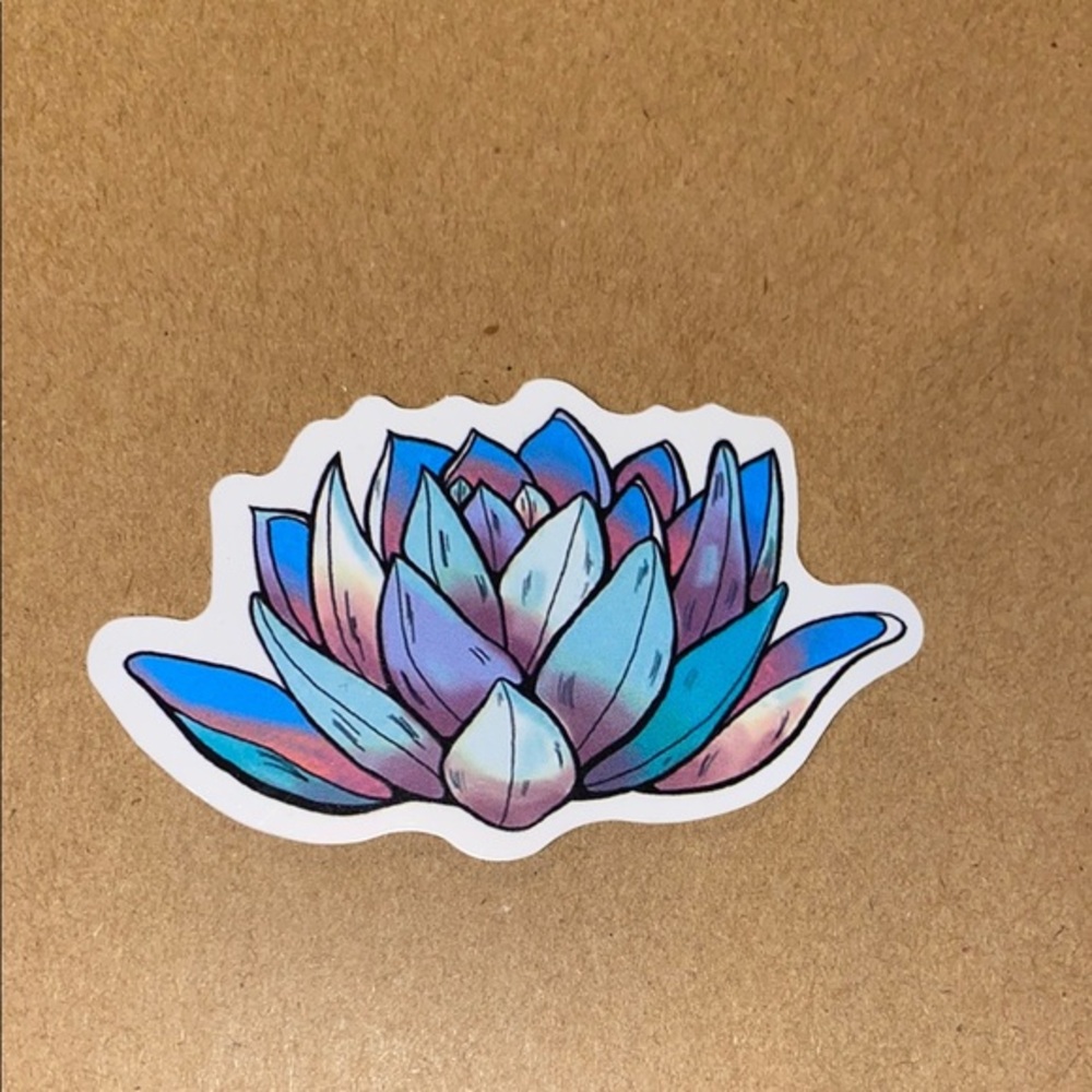 🌈20/$12🌈 Multicolor Succulent Sticker